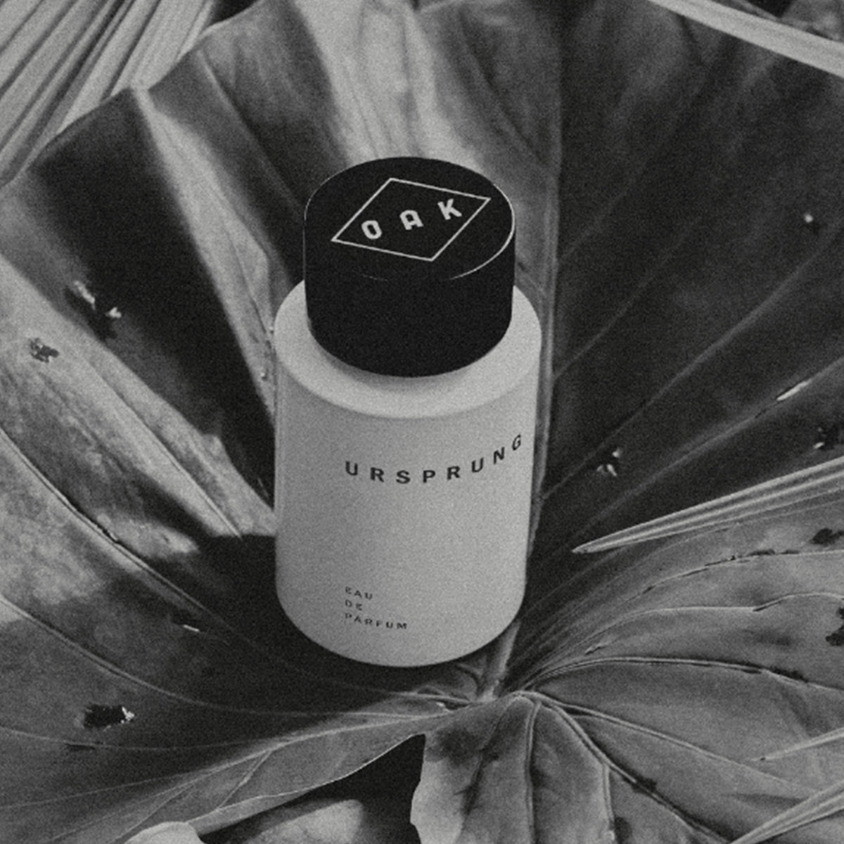 Eau de Parfum Ursprung 50 ml